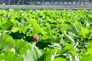 不惧约基奇！霍姆格伦首节8投6中独揽14分2板1助